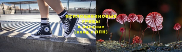 ECSTASY Вяземский