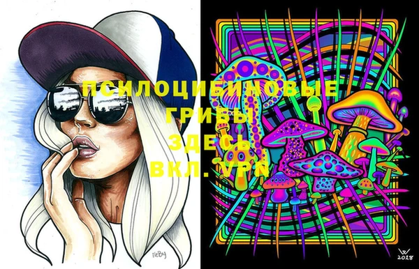 Альфа ПВП Горняк