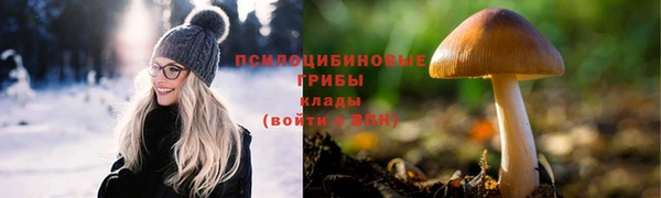 амф Вязники