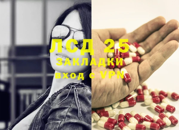 ECSTASY Вяземский