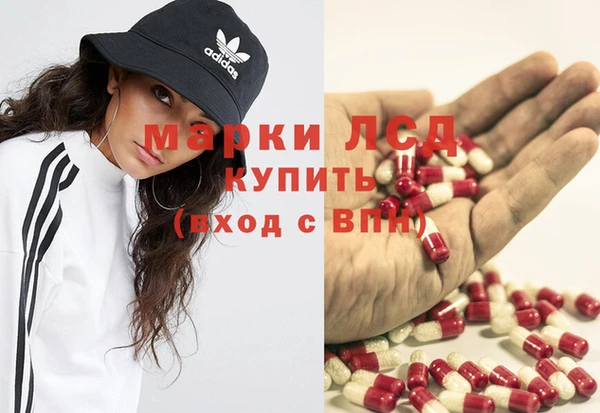 ECSTASY Вяземский