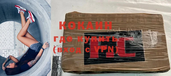 шишки Строитель